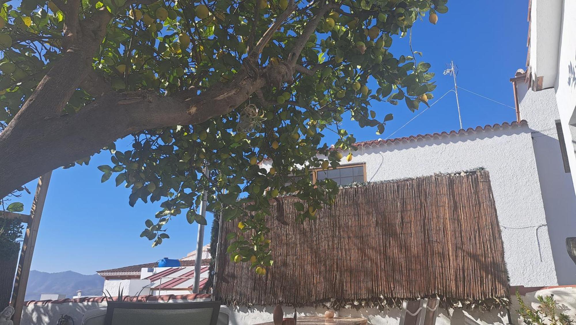 Penzion Casa Santana Segura Tejeda  Pokoj fotografie