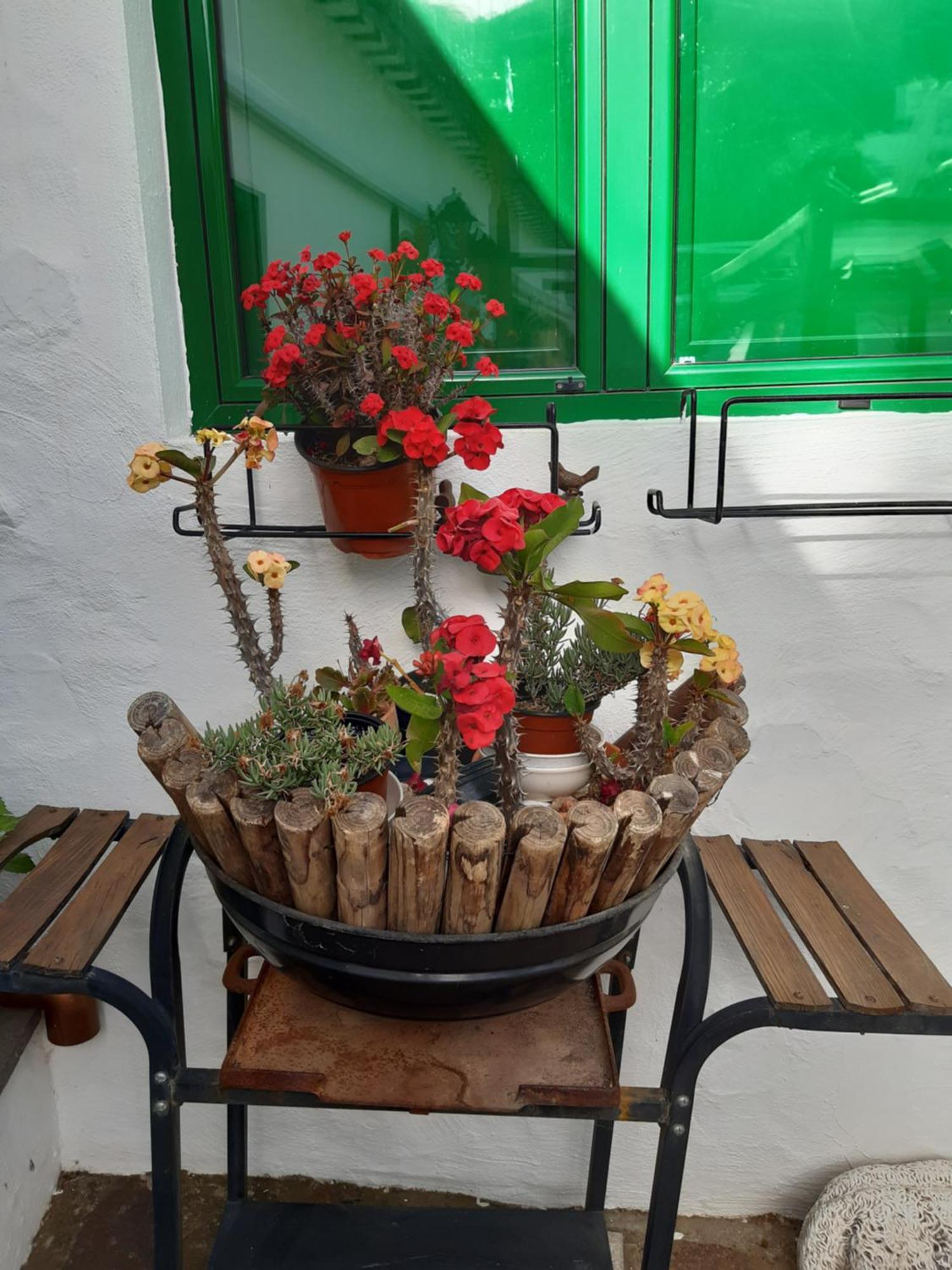 Penzion Casa Santana Segura Tejeda  Pokoj fotografie