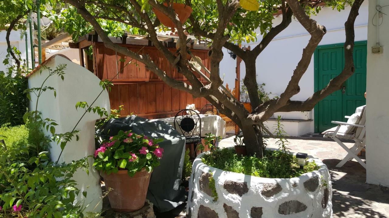 Penzion Casa Santana Segura Tejeda  Exteriér fotografie
